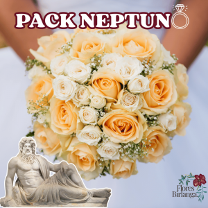 Pack Neptuno